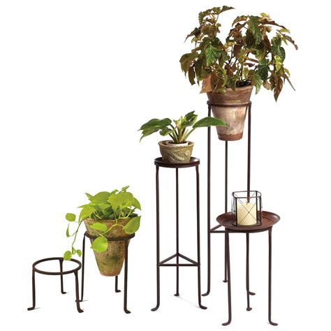 stand prada fiori|IRON PLANT STANDS .